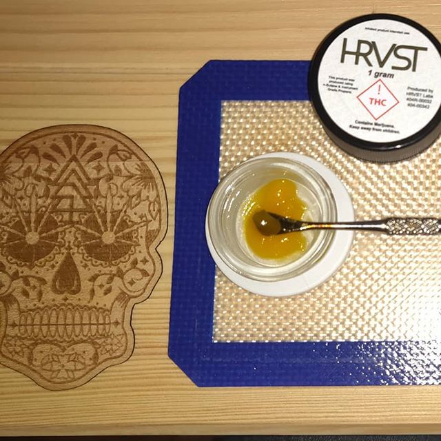 Trees Waterfront Website