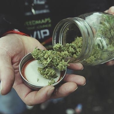 MMJDoctorOnline.com - Hayward Website