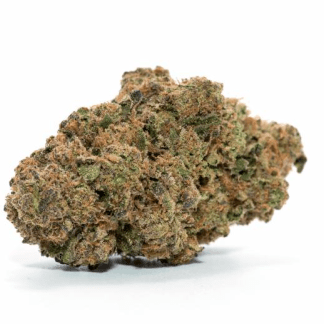 Lit Delivery Service Website