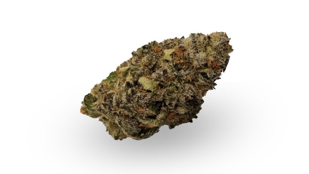 Nature's Medicines - Fall River Website