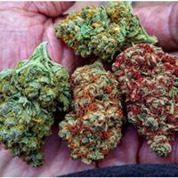 420EvaluationsOnline - Murrieta Website