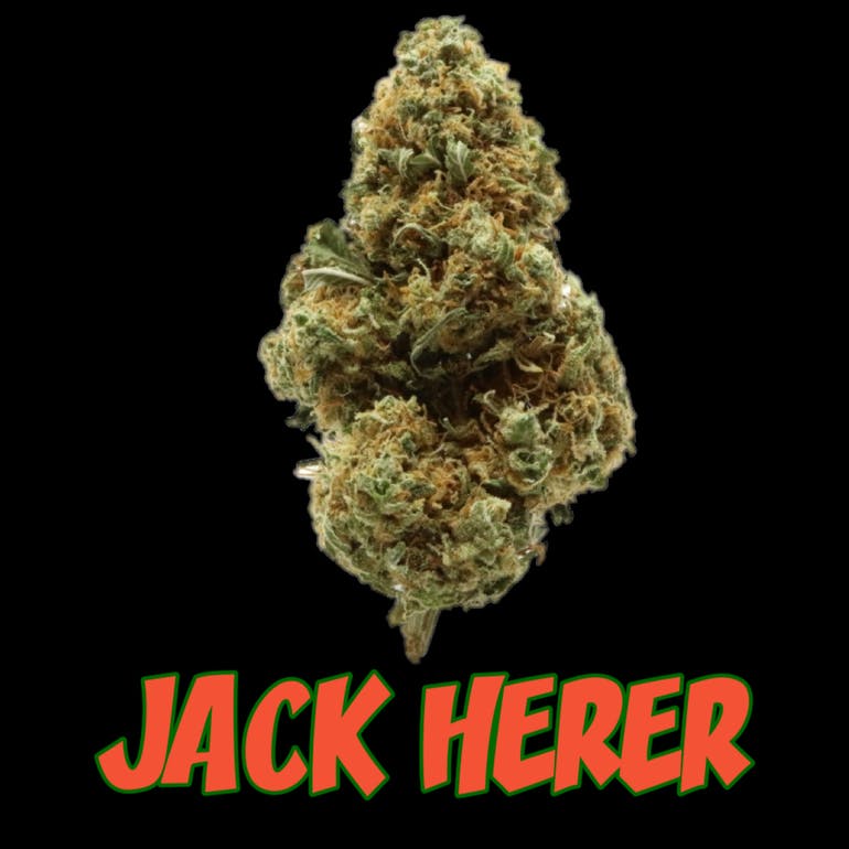 Healthy Greens Delivery Website