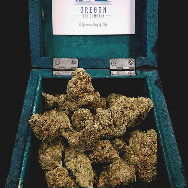 Oregon Bud Company - Beaverton Website