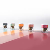 CANNDESCENT Website