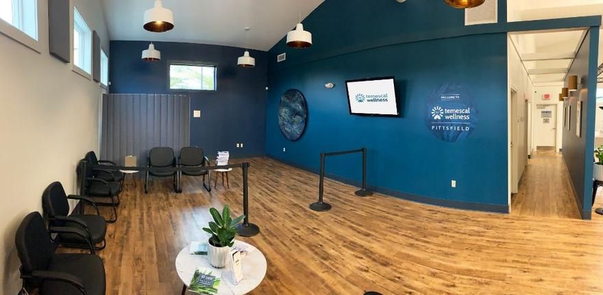 Temescal Wellness - Pittsfield (Rec) Website