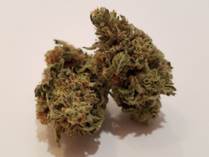 Secret Stash Xpress Website