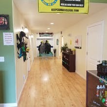 Pine Street Cannabis Company Website