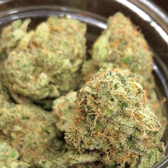 The Greenhouse of Walled Lake Website