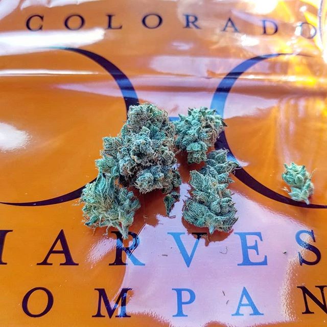Colorado Harvest Company Yale Website
