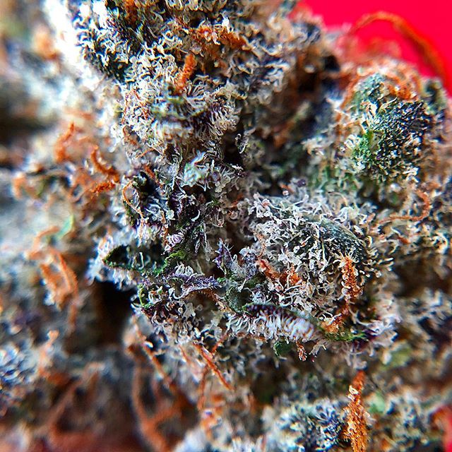 Wolf Pac Cannabis - Federal Blvd Website