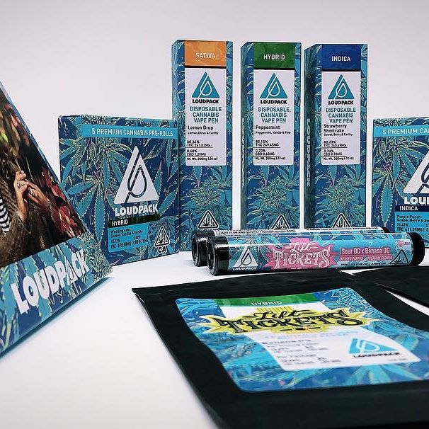 Dixon Wellness Website