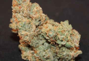 Green Fellas Website