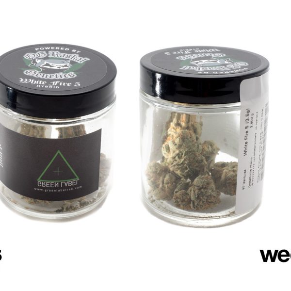 A Greener Today - Lynnwood Website