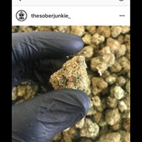 Coughy Shoppe Collective - Hayward Website