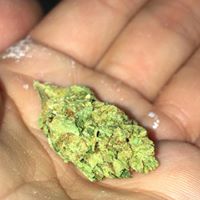 LoudPack Farms Website