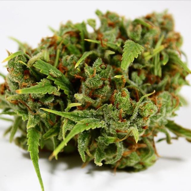 Doc's Apothecary - Denver / Globeville Website