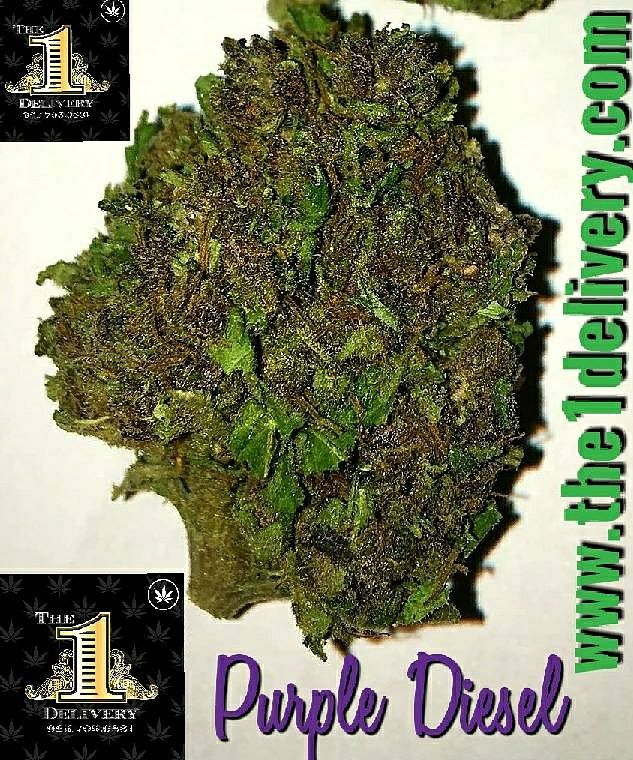 The 1 Delivery Service - Concord Website