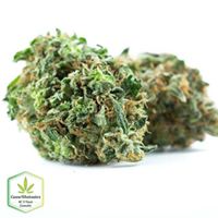 Cannawholesalers Website