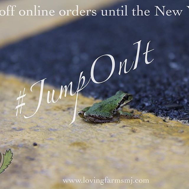 Loving Farms - Mount Vernon Website