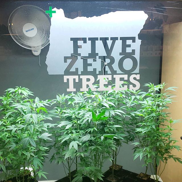 Five Zero Trees Cannon Beach Website