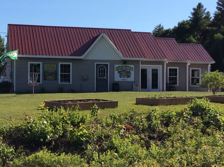 High Wire Hydroponics Website