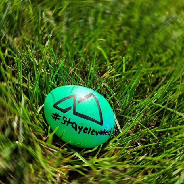 Elevated Longmont Website