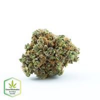 Cannawholesalers Website
