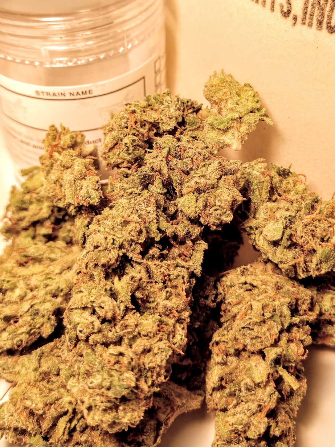 Power Plants Inc Website