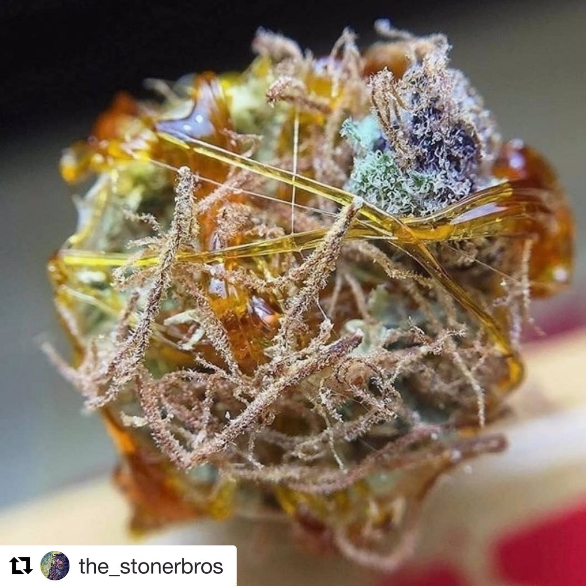 Magnolia Road Cannabis Co. Boulder (MED) Website