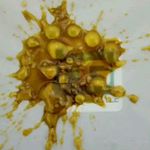 OG Collective - Hawthorne Website