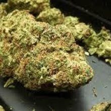 Great Alaskan Bud Company - GABCO Website