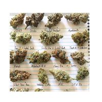 Road Runner Co - Oakland Website