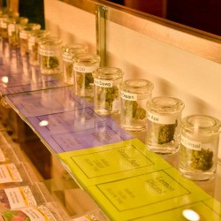 Santé - Durango Website