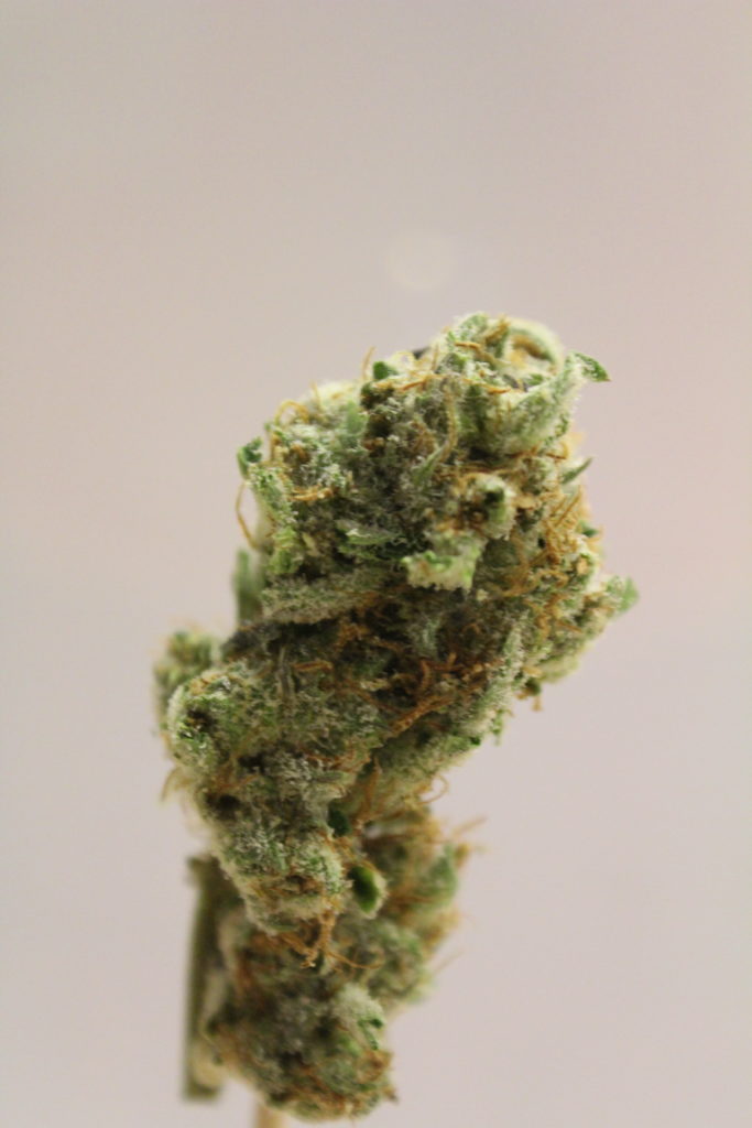 AGT - Lake Forest Website