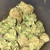 LoudPack Farms Website