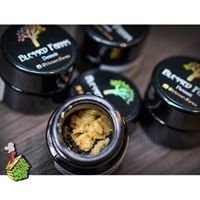 HOD Medical Marijuana Certification Center Website