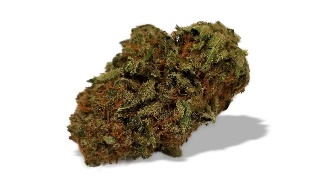 Nature's Medicines - Fall River Website