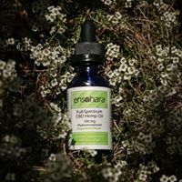 Ensohara INC Website