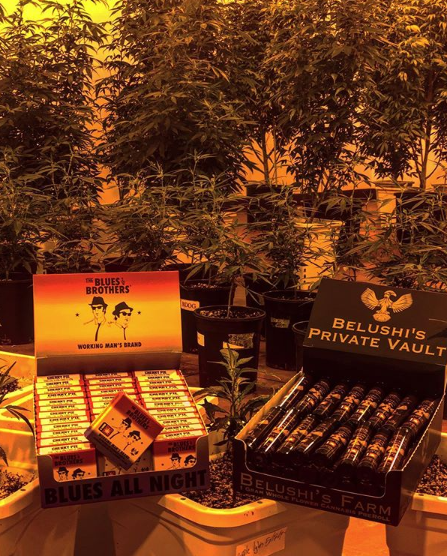 Belushis Farm Website