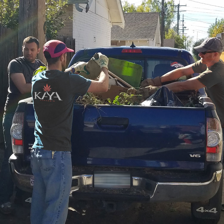 Kaya Cannabis - Colfax Website