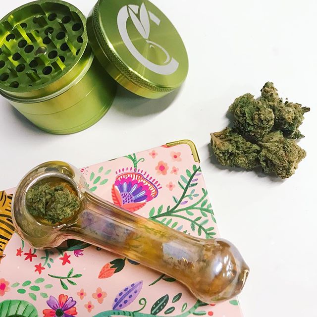 Captain Jacks Website