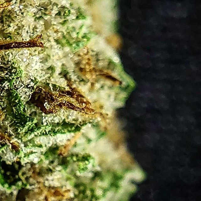 Ascend - Denver Website