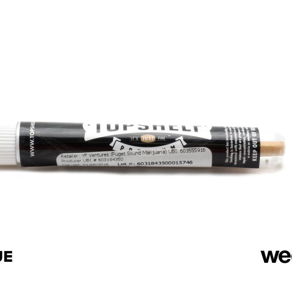 A Greener Today - Lynnwood Website