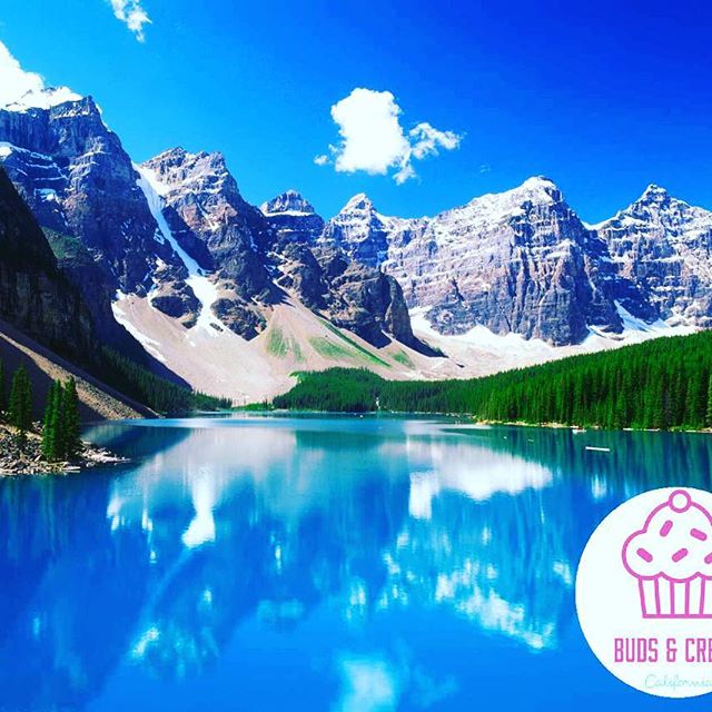 Buds & Cream Website