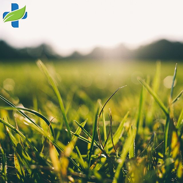 Natural Health Services - Calgary Website