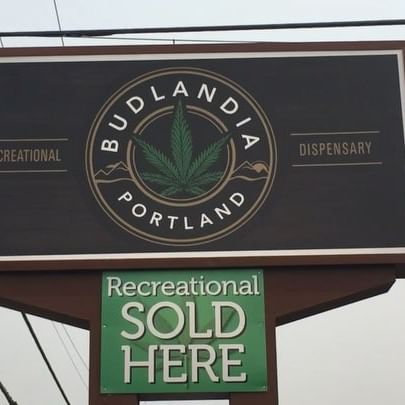 Budlandia - Division St. Website