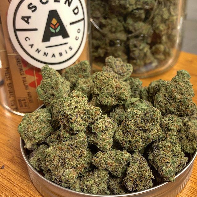 Ascend - Denver Website