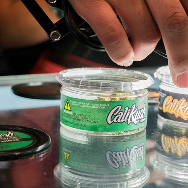 The Kind Center Website