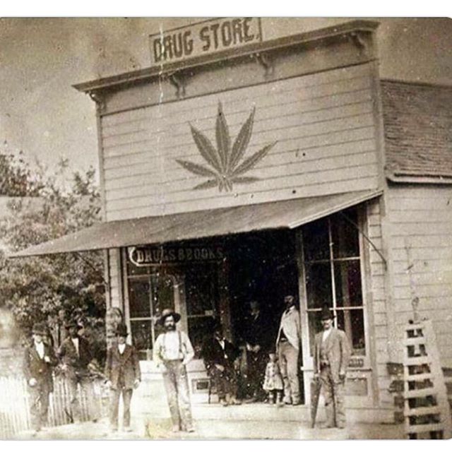 Levels - Denver Website