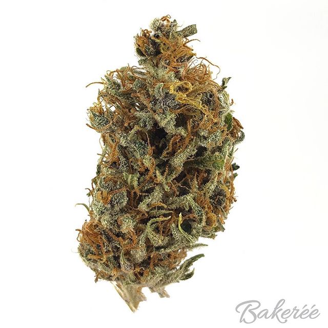 The Bakeréé Website